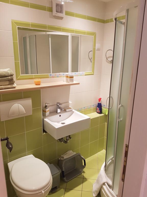 Apartments Mirela Gradac  Kültér fotó